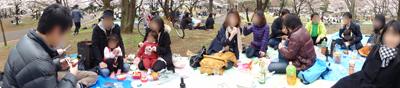 お花見in所沢航空公園