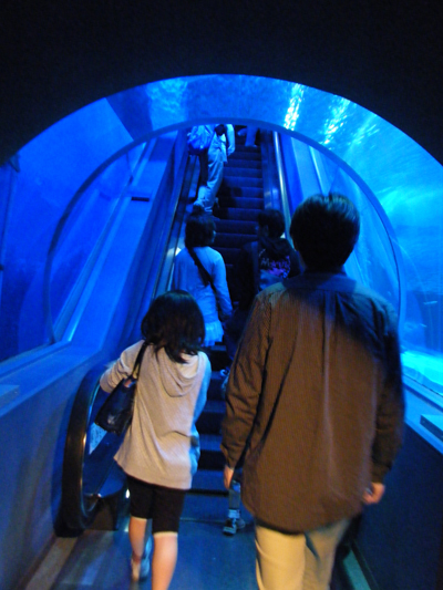 横浜八景島シーパラダイス