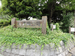 木場公園
