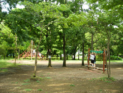 木場公園