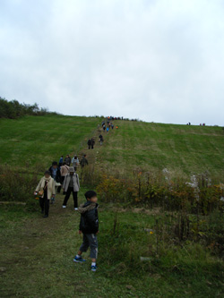 田代高原