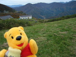 田代高原