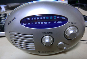 充電たまご